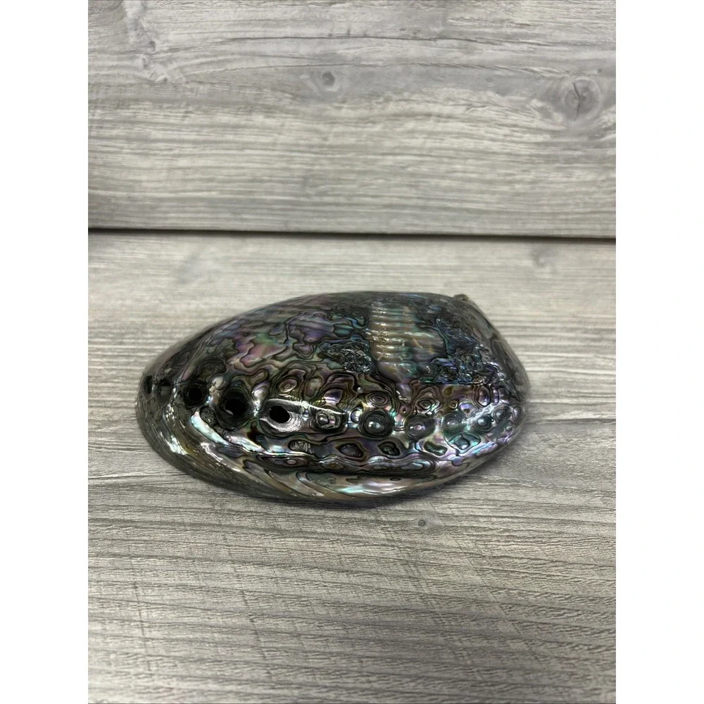 Large Abalone Seashell Iridescent Bowl Beach Home‎ Decor Pearl A3